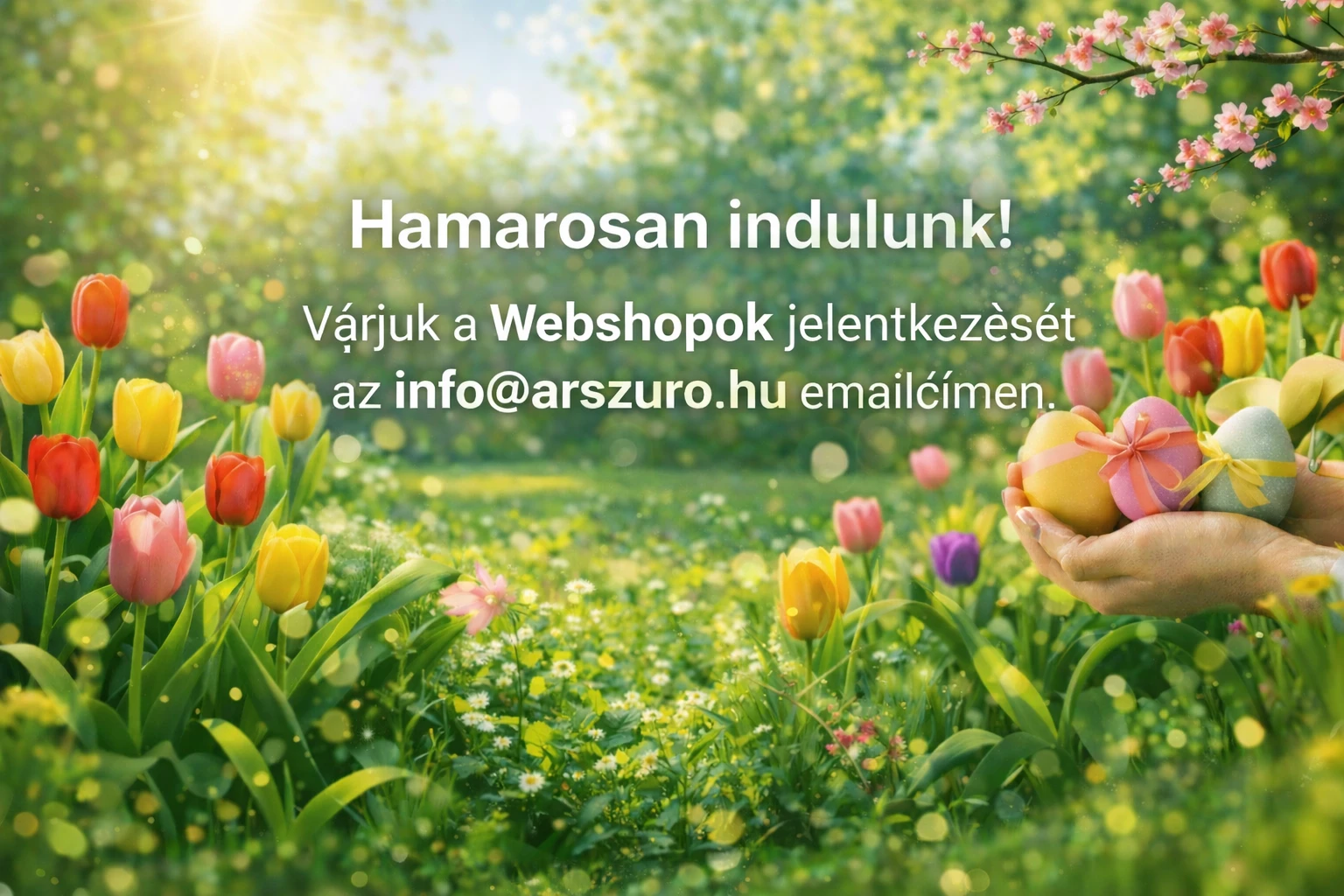 Karácsonyi ajánlatok