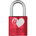 Love lock
