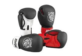 Kesztyűk küzdősportokhoz
