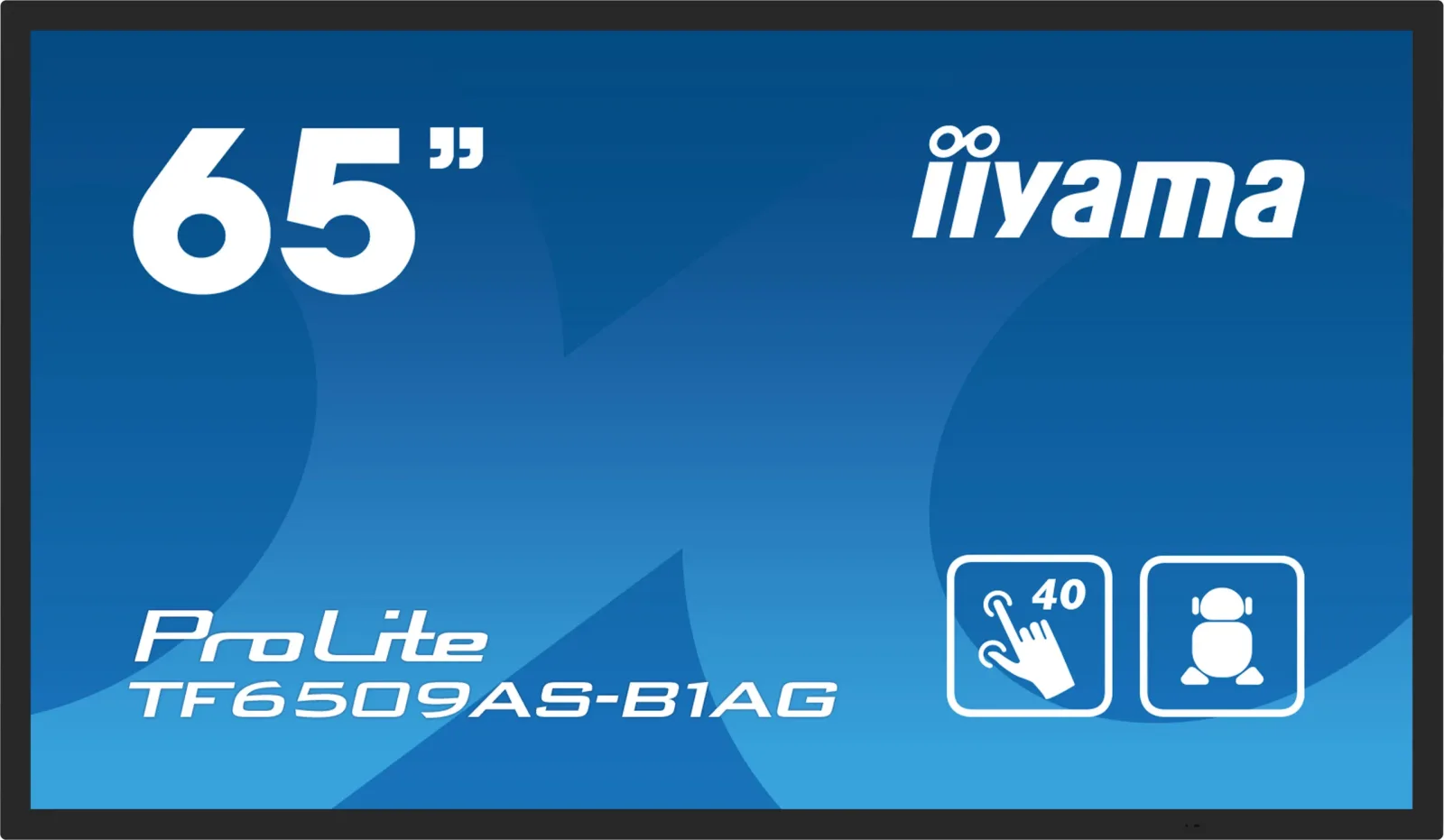 64,5" iiyama TF6539AS-B1AG